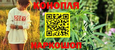 гашик Рязань