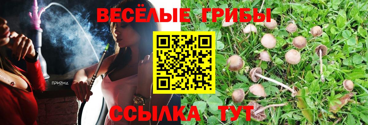 Псилоцибиновые грибы прущие грибы  Вход с VPN  Нижневартовск 